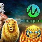 microgaming slot